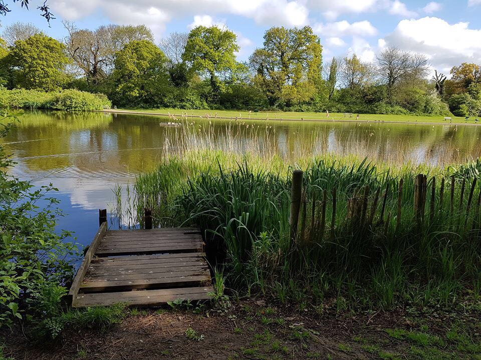 Harlow’s iconic Netteswell Pond set to get facelift - Essex Magazine