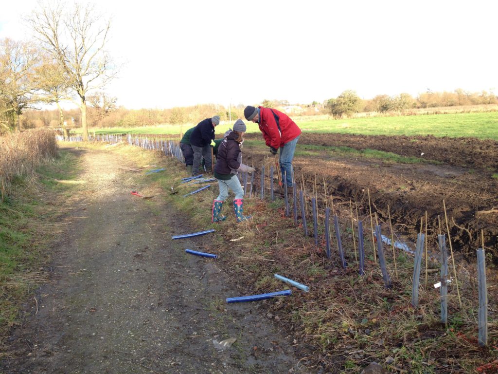 Volunteers just don’t stop working for Harlow town - Essex Magazine