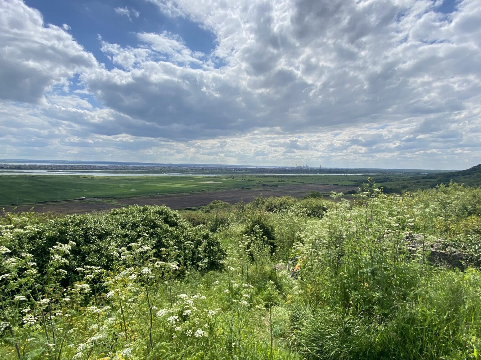 Salvation Army begins Hadleigh Farm rewilding project - Essex Magazine